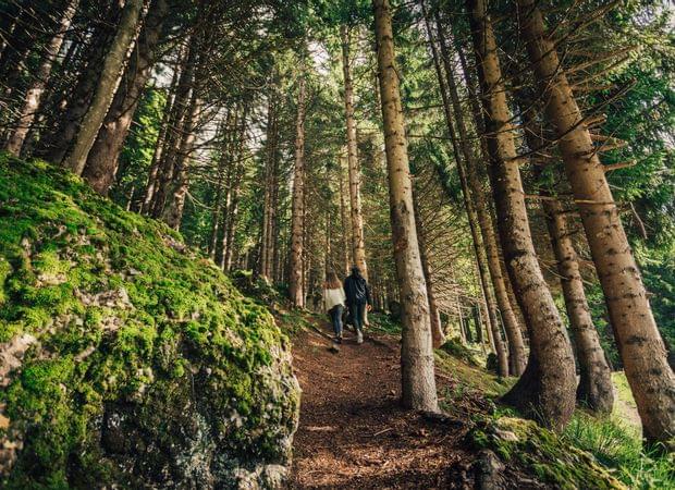 Torghele's Wald + Fluh - Wald Wellness im Hotel im Allgäu