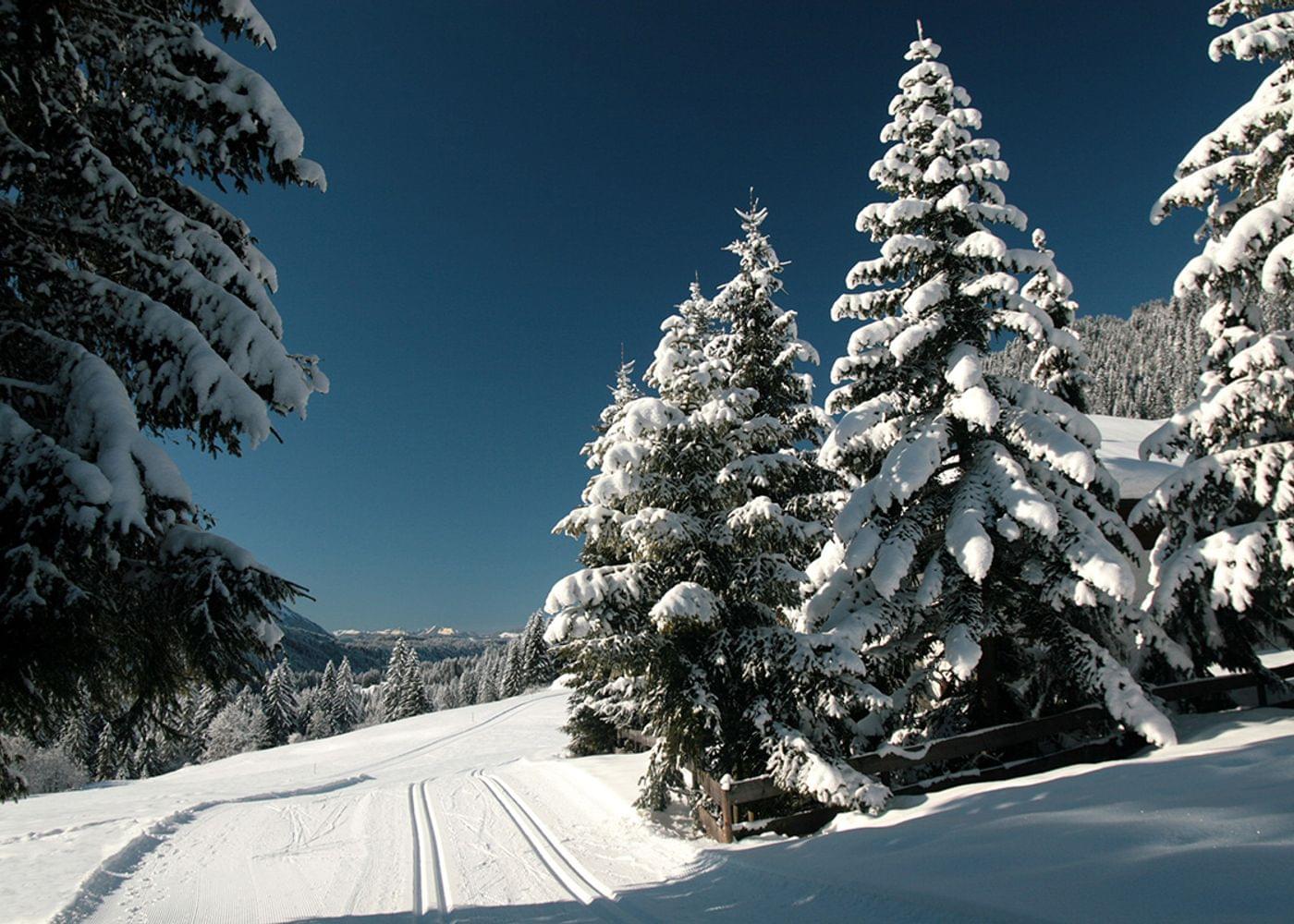 Winterurlaub im Hotel Torghele's Wald + Fluh im Allgäu