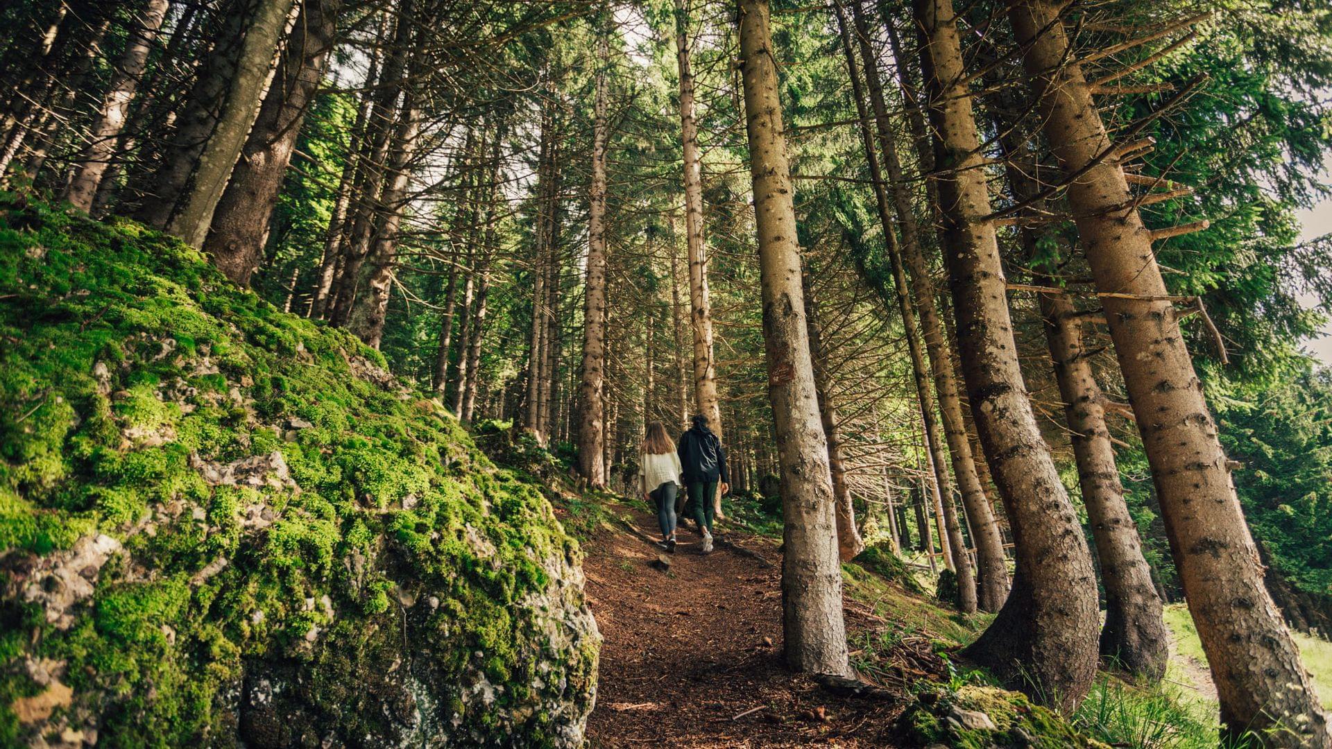 Torghele's Wald + Fluh - Wald Wellness im Hotel im Allgäu