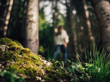 Torghele's Wald + Fluh - Wald Wellness im Hotel im Allgäu