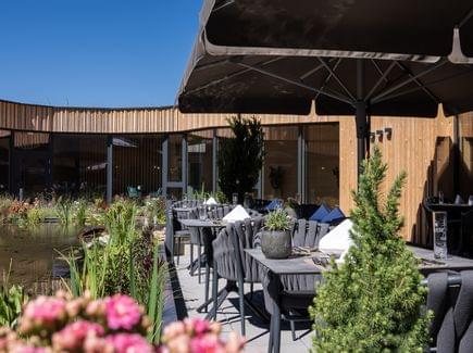 Wellnesshotel Torghele's Wald + Fluh im Allgäu 