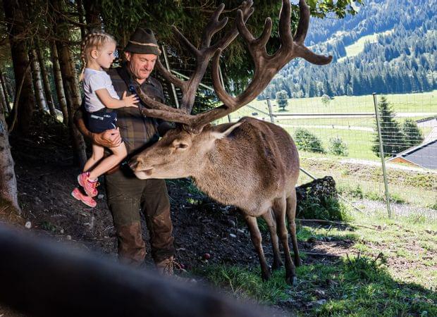 Familienhotel Torghele's Wald + Fluh im Allgäu mit Wildgehege