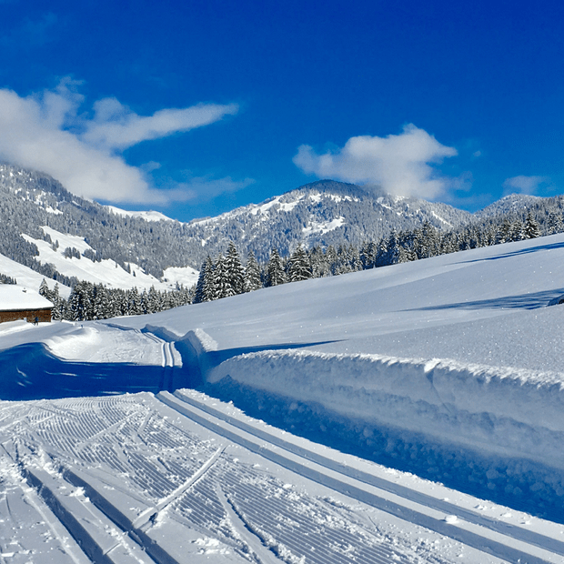 Winterurlaub im Hotel Torghele's Wald + Fluh im Allgäu
