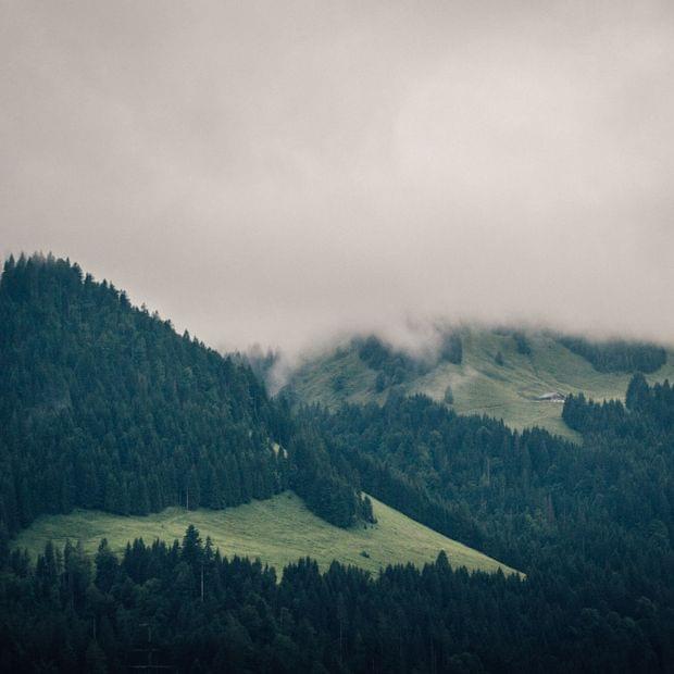 Torghele's Wald + Fluh - Familienhotel im Allgäu 