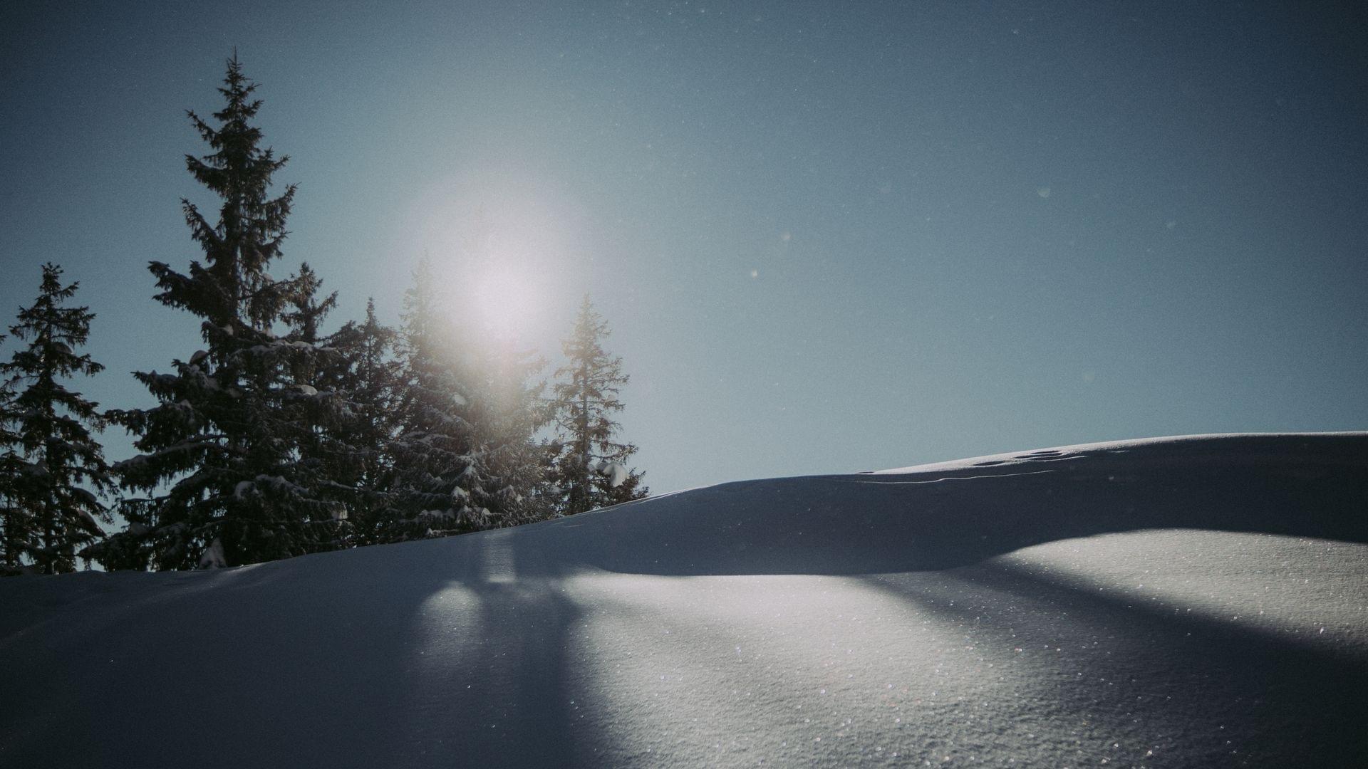 Winterlandschaft Allgäu - Torghele's Wald + Fluh
