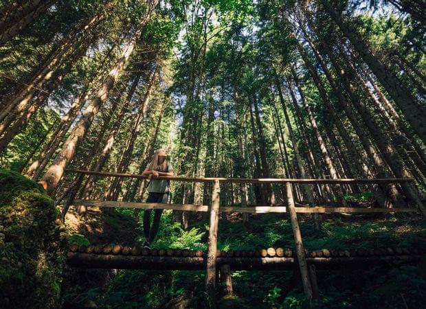 Torghele's Wald + Fluh - Wald Wellness im Hotel im Allgäu