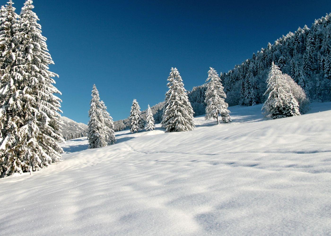 Winterurlaub im Hotel Torghele's Wald + Fluh im Allgäu