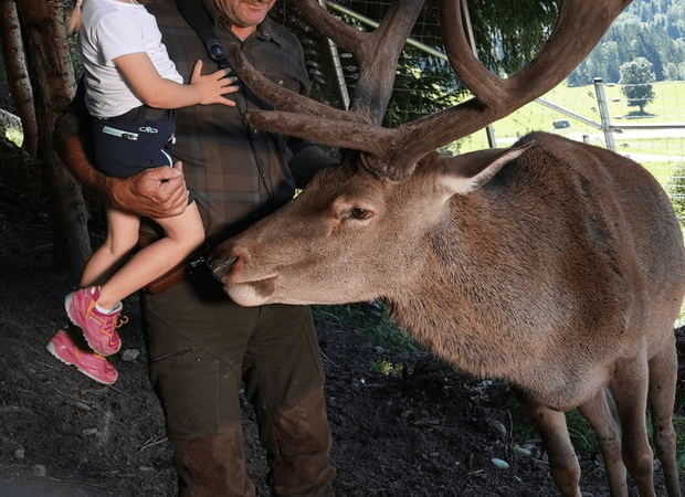 Mann mit Hut hat blondes Kind auf dem Arm und streichelt einen Hirsch