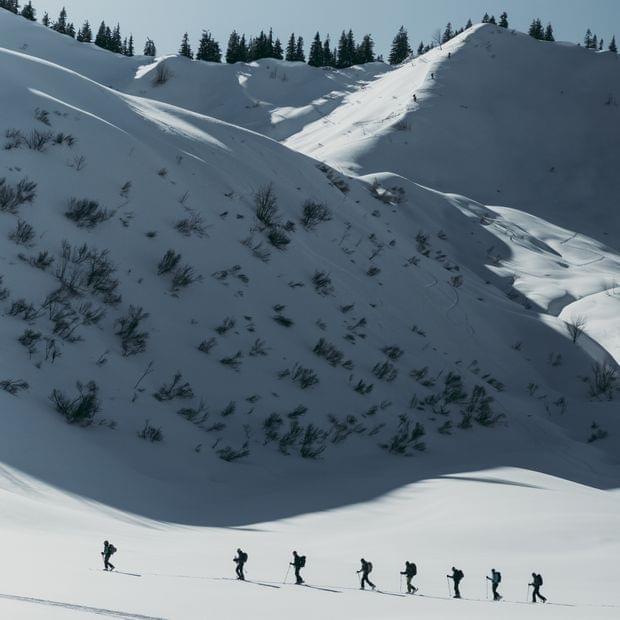 Skitour im Allgäu - Torghele's Wald + Fluh