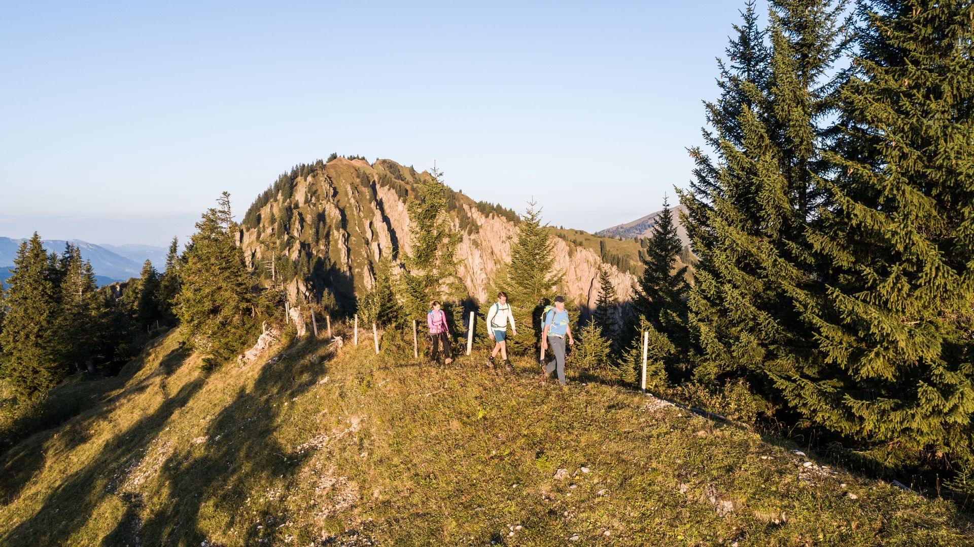 Wanderurlaub im Allgäu - Naturpark Nagelfluhkette - Torghele's Wald + Fluh in Balderschwang