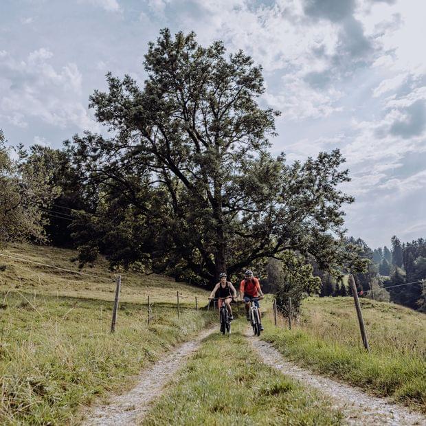 Zwei Radfahrer auf einem Wiesenweg beim Bikeurlaub im Allgäu.