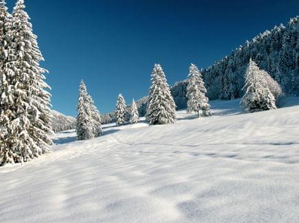 Winterurlaub im Hotel Torghele's Wald + Fluh im Allgäu