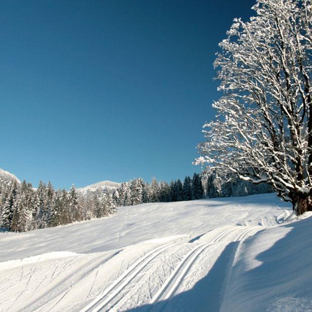Winterurlaub im Hotel Torghele's Wald + Fluh im Allgäu