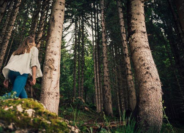 Torghele's Wald + Fluh - Wald Wellness im Hotel im Allgäu