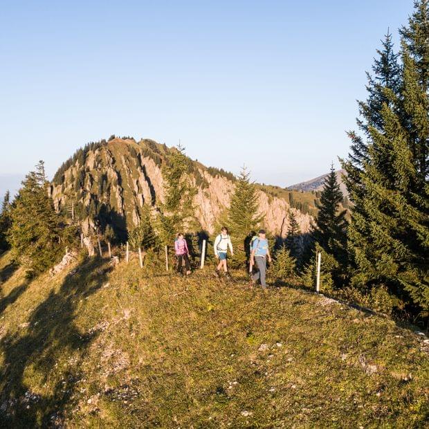 Hotel Torghele's Wald + Fluh - Wandern im Urlaub im Naturpark Nagelfluhkette